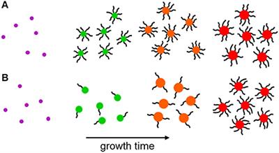 Evolving Stark Effect During Growth of Perovskite Nanocrystals Measured Using Transient Absorption